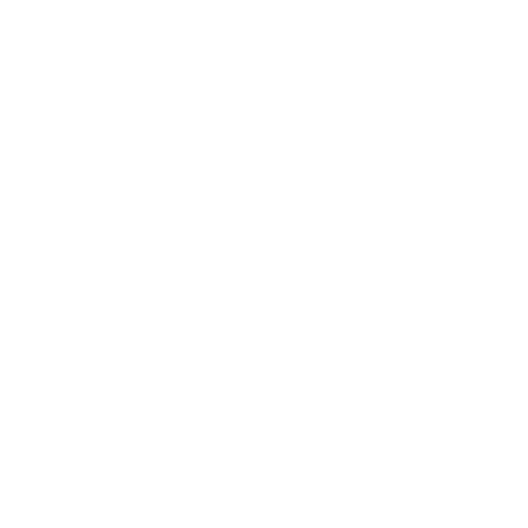 Steam